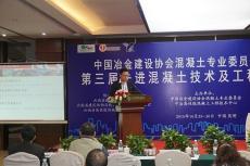 集團(tuán)在中冶建設(shè)協(xié)會第三屆交流大會上作主題報告