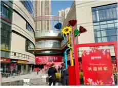 深圳中海錦城花園安居房居民順利入住