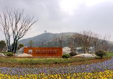 集團(tuán)溧水無想山項(xiàng)目助力駐區(qū)馬拉松賽事